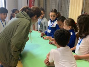 Alumnos muestran sus proyectos de máquinas simples