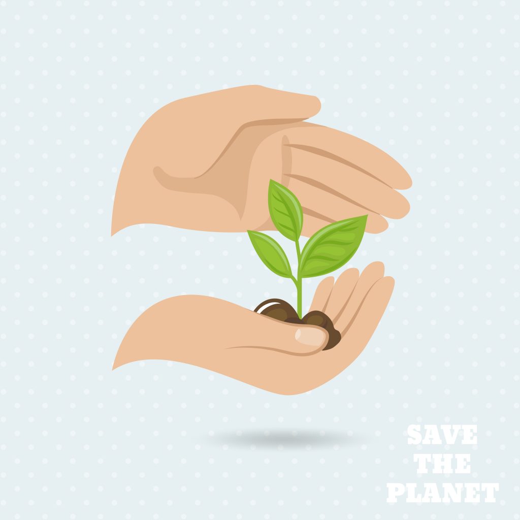 How do we use Plants? - El Aula del Futuro