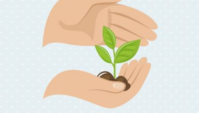 Imagen digital de unas manos sosteniendo una planta