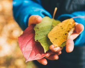 Manos con hojas de otoño