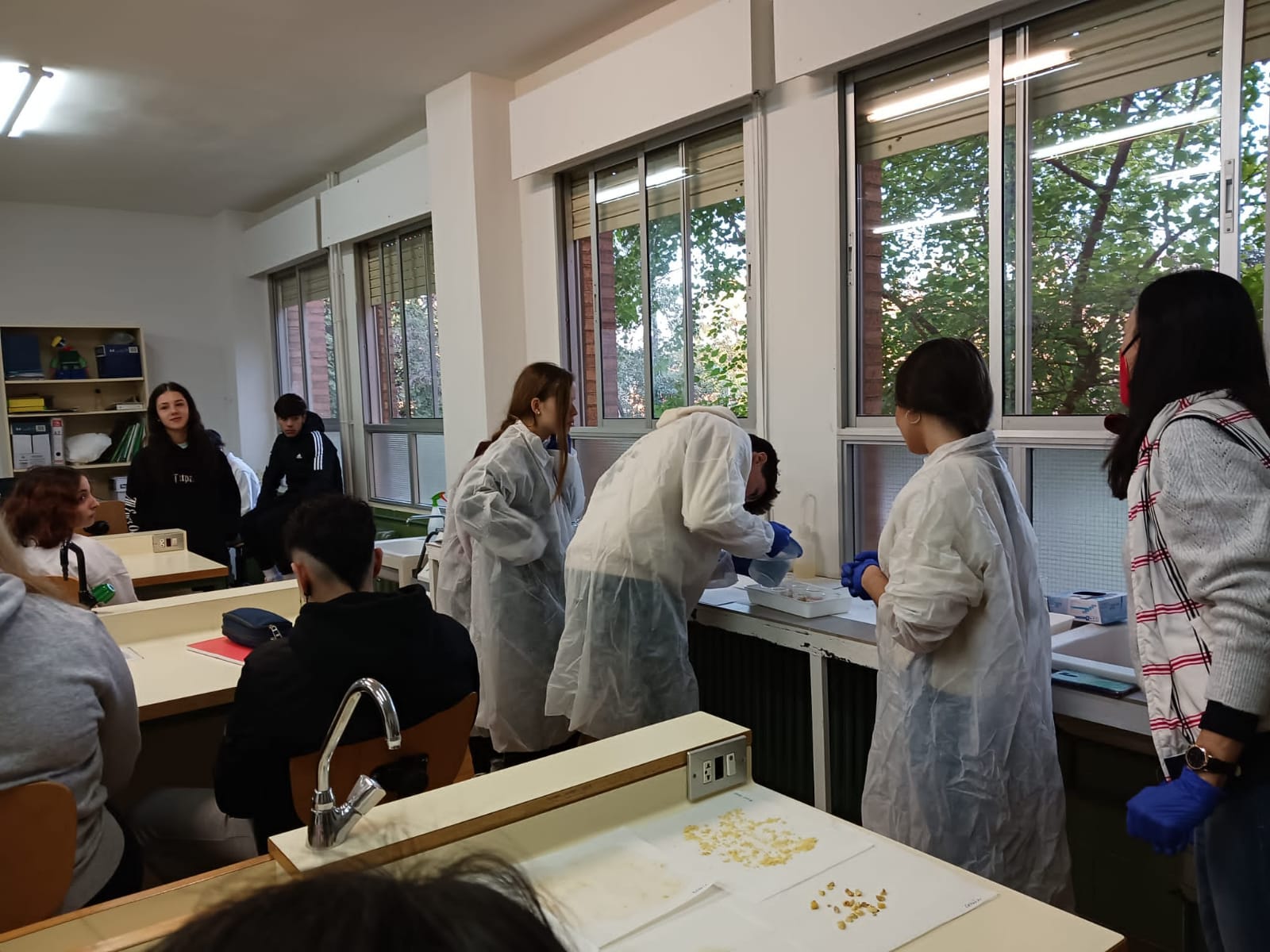Estudiantes en el laboratorio