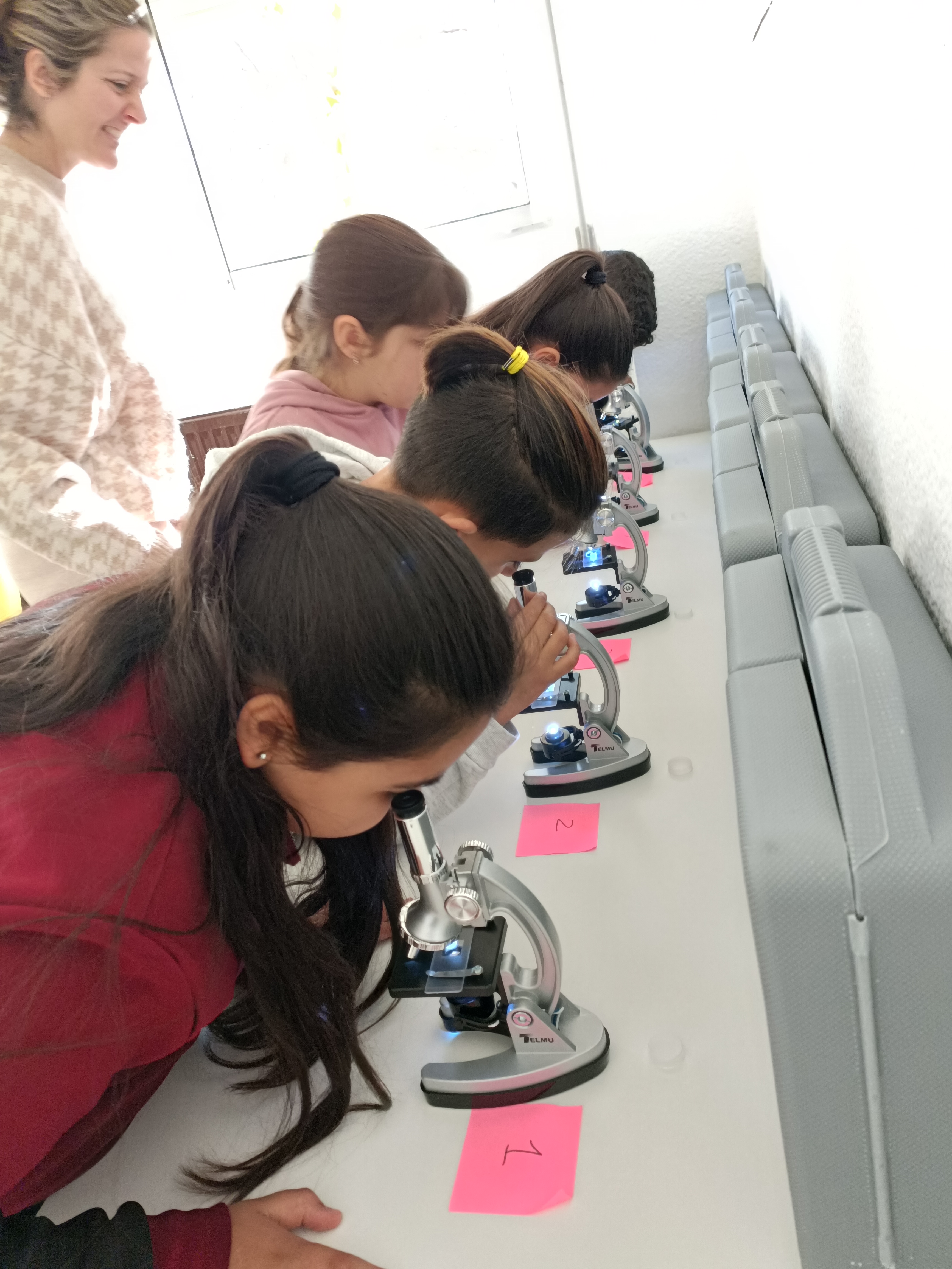 Alumnado utilizando microscopios