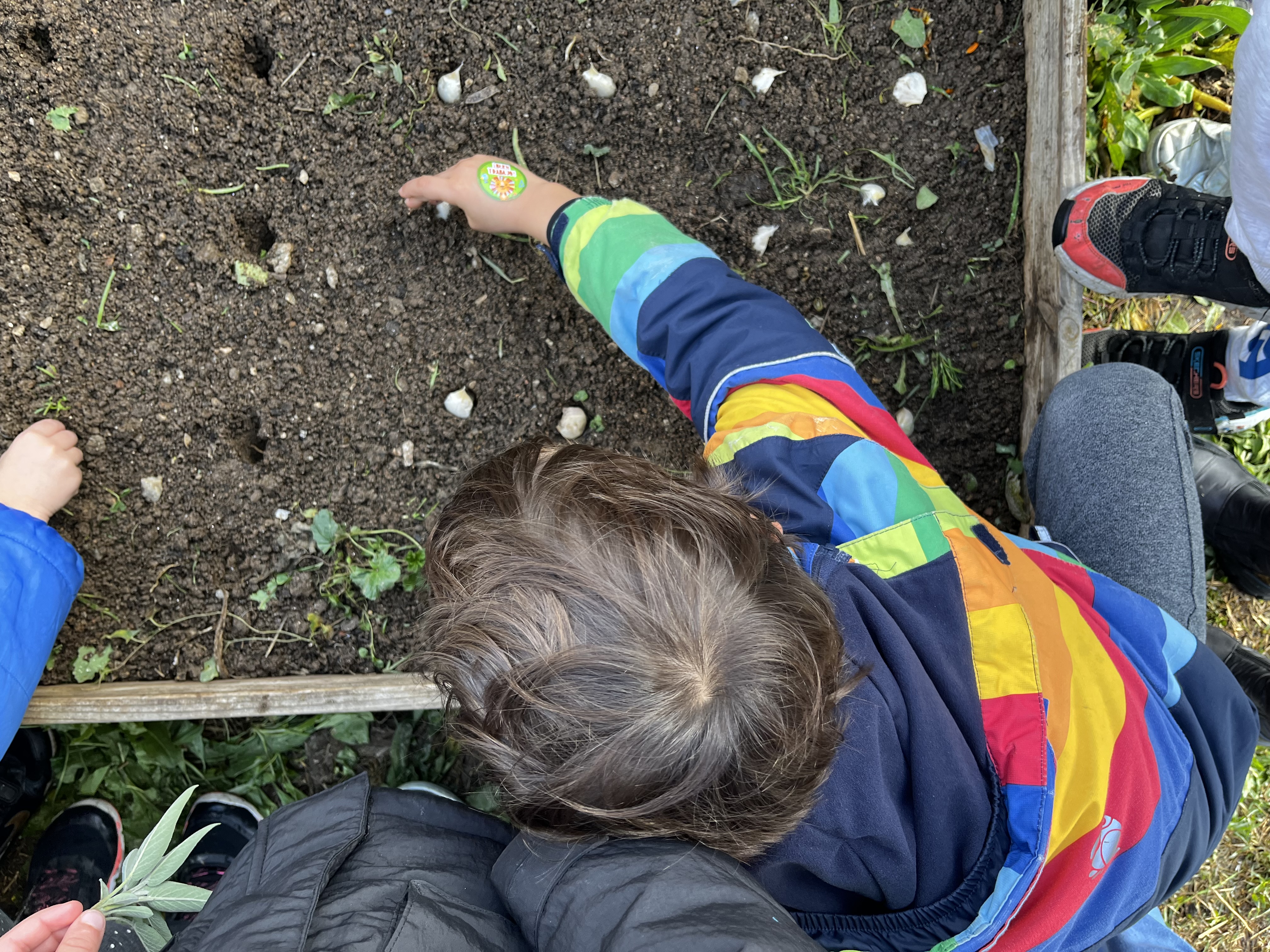 Alumno plantando una semilla