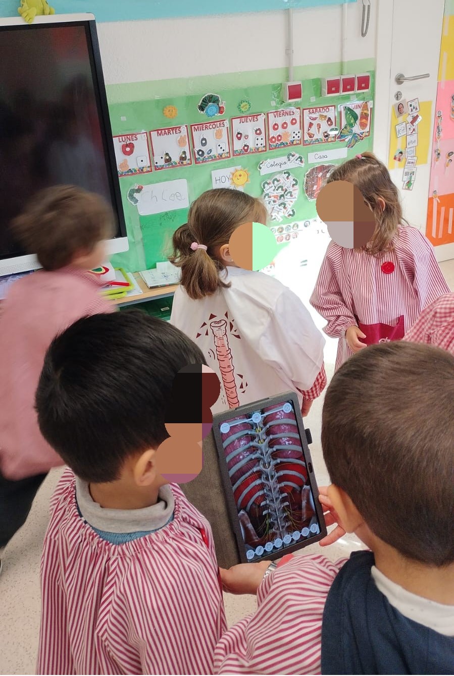 CEIP Real Armada
