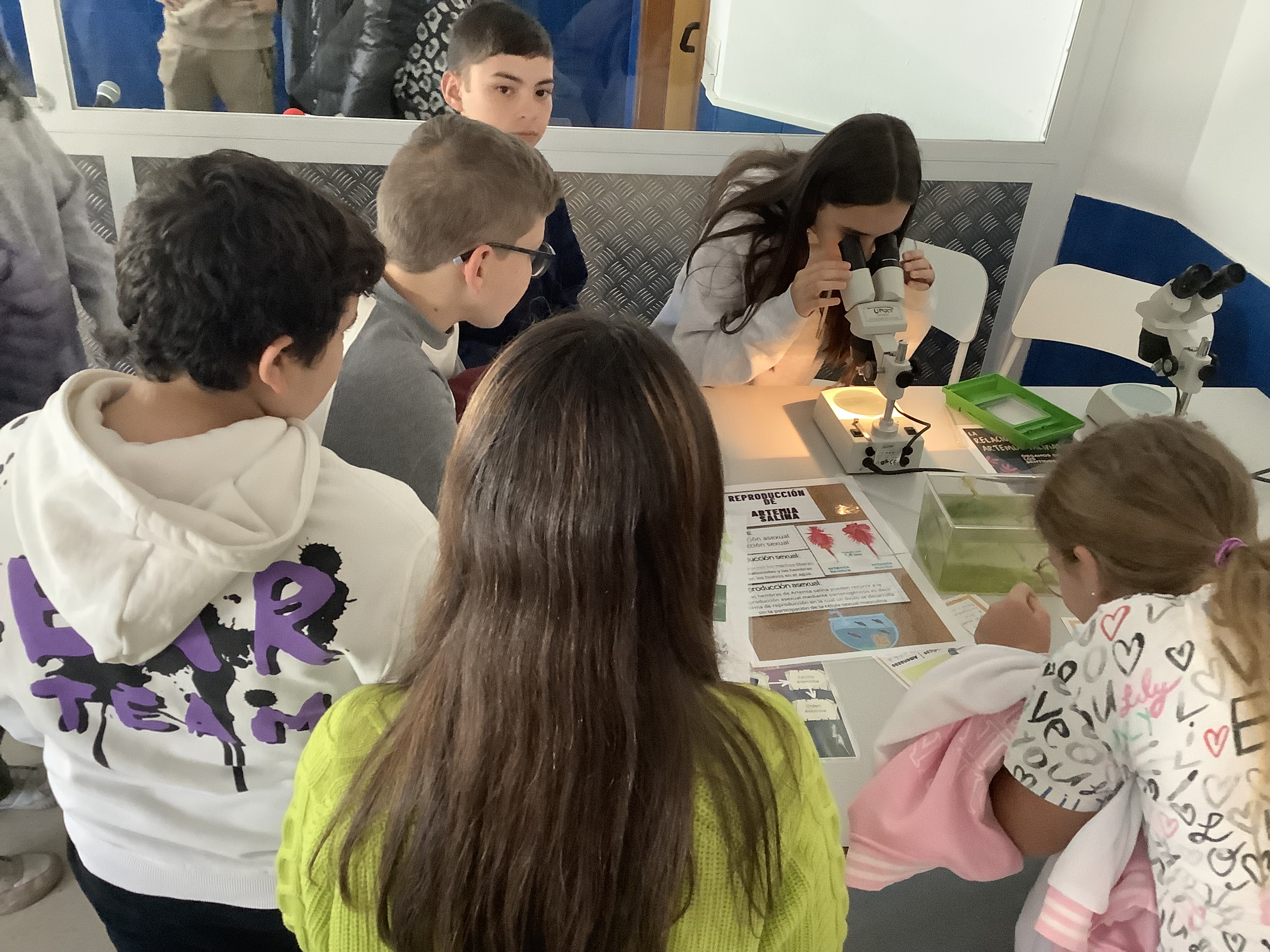 IES Valle del Jerte
