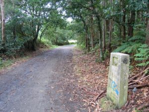 Camino a Arzúa