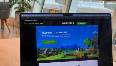 Minecraft