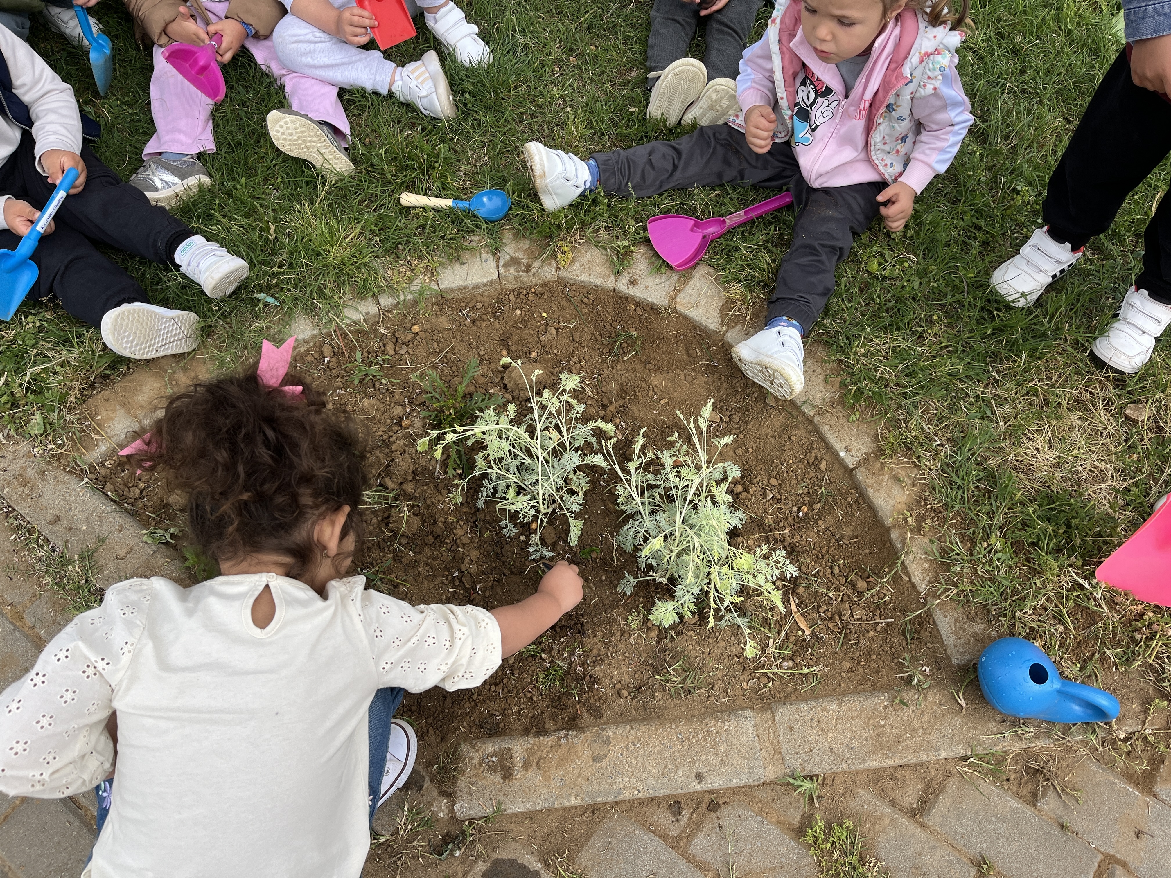CEIP Sagrado Corazón de Jesús