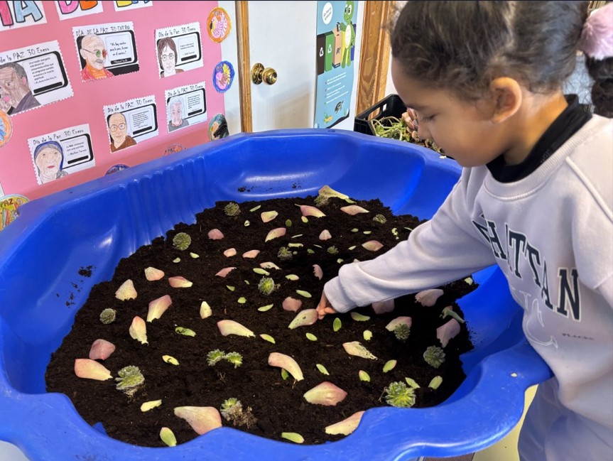 CEIP Martin Gaite