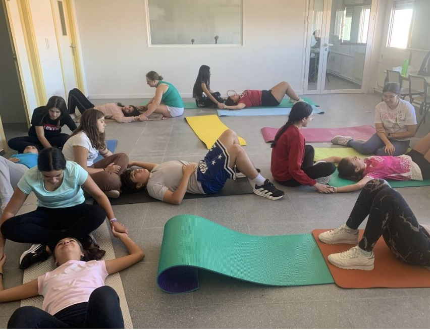 IES Castillo de Luna